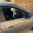 Review of a Seat Leon Side Window in Stafford (52.80709981625626, -2.118349329192534)